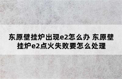 东原壁挂炉出现e2怎么办 东原壁挂炉e2点火失败要怎么处理